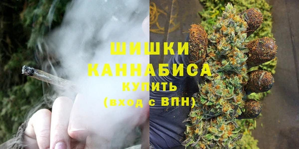 молекула духа Верхний Тагил