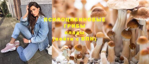 молекула духа Верхний Тагил