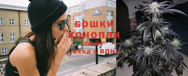 молекула духа Верхний Тагил