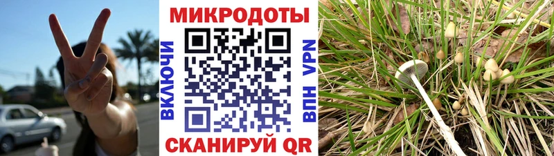 Галлюциногенные грибы мухоморы Первомайск